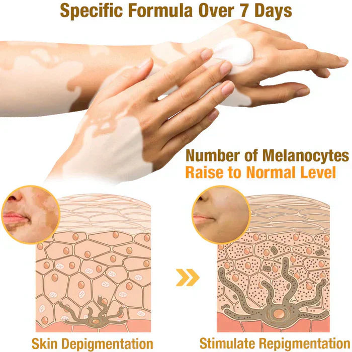 Revitalizing Bee Venom Cream – Natural Skin Restoration & Vitality